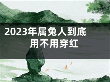 2023年属兔人到底用不用穿红