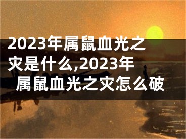 2023年属鼠血光之灾是什么,2023年属鼠血光之灾怎么破
