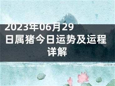 2023年06月29日属猪今日运势及运程详解