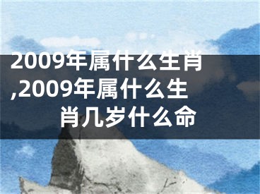 2009年属什么生肖,2009年属什么生肖几岁什么命