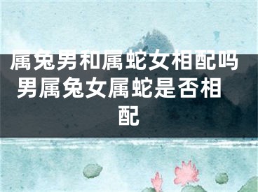 属兔男和属蛇女相配吗 男属兔女属蛇是否相配