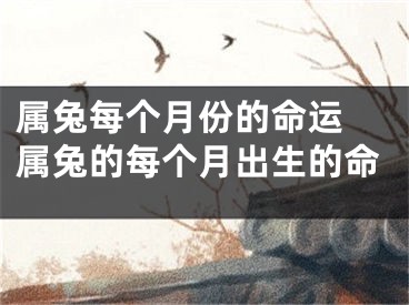 属兔每个月份的命运 属兔的每个月出生的命