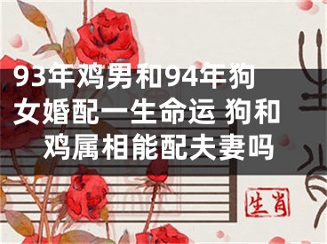 93年鸡男和94年狗女婚配一生命运 狗和鸡属相能配夫妻吗