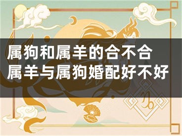 属狗和属羊的合不合 属羊与属狗婚配好不好