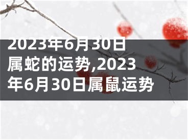 2023年6月30日属蛇的运势,2023年6月30日属鼠运势