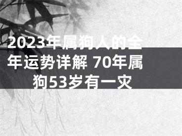 2023年属狗人的全年运势详解 70年属狗53岁有一灾
