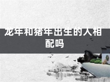 龙年和猪年出生的人相配吗