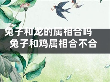兔子和龙的属相合吗 兔子和鸡属相合不合