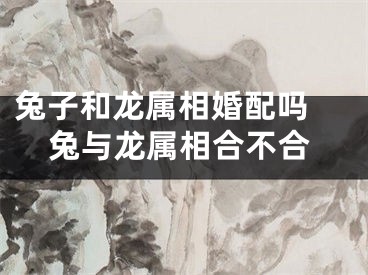 兔子和龙属相婚配吗 兔与龙属相合不合