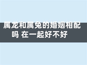 属龙和属兔的婚姻相配吗 在一起好不好