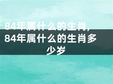 84年属什么的生肖,84年属什么的生肖多少岁