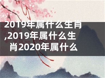 2019年属什么生肖,2019年属什么生肖2020年属什么