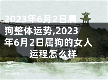 2023年6月2日属狗整体运势,2023年6月2日属狗的女人运程怎么样