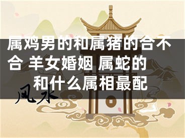 属鸡男的和属猪的合不合 羊女婚姻 属蛇的和什么属相最配