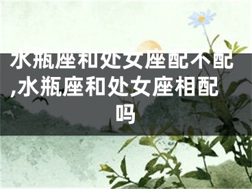 水瓶座和处女座配不配,水瓶座和处女座相配吗
