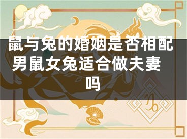 鼠与兔的婚姻是否相配 男鼠女兔适合做夫妻吗