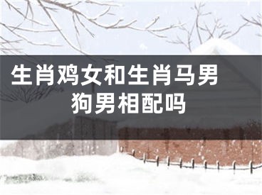 生肖鸡女和生肖马男 狗男相配吗