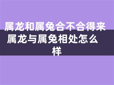 属龙和属兔合不合得来 属龙与属兔相处怎么样