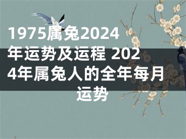 1975属兔2024年运势及运程 2024年属兔人的全年每月运势