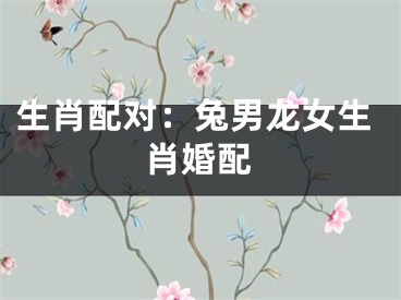生肖配对：兔男龙女生肖婚配