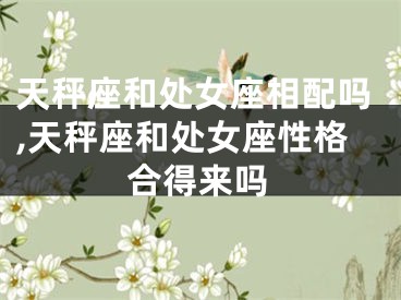 天秤座和处女座相配吗,天秤座和处女座性格合得来吗