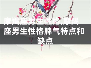 摩羯座男生性格,摩羯座男生性格脾气特点和缺点