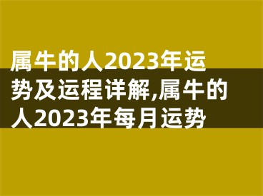 属牛的人2023年运势及运程详解,属牛的人2023年每月运势