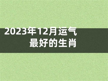 2023年12月运气最好的生肖