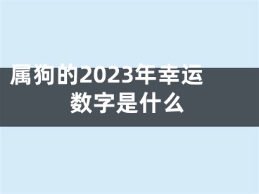 属狗的2023年幸运数字是什么