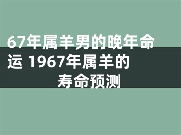 67年属羊男的晚年命运 1967年属羊的寿命预测