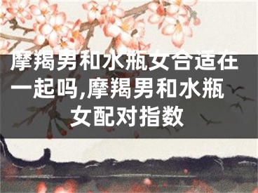 摩羯男和水瓶女合适在一起吗,摩羯男和水瓶女配对指数