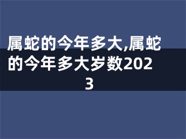 属蛇的今年多大,属蛇的今年多大岁数2023