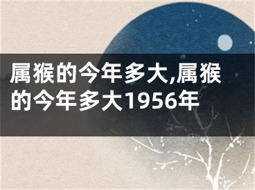 属猴的今年多大,属猴的今年多大1956年