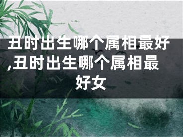 丑时出生哪个属相最好,丑时出生哪个属相最好女