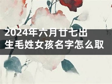 2024年六月廿七出生毛姓女孩名字怎么取