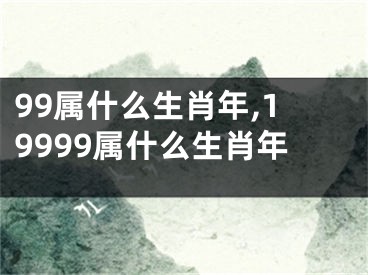 99属什么生肖年,19999属什么生肖年