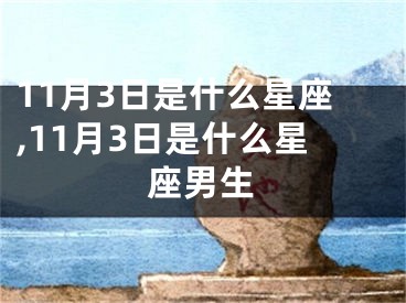 11月3日是什么星座,11月3日是什么星座男生