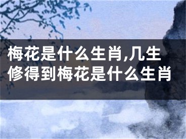 梅花是什么生肖,几生修得到梅花是什么生肖