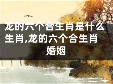 龙的六个合生肖是什么生肖,龙的六个合生肖婚姻