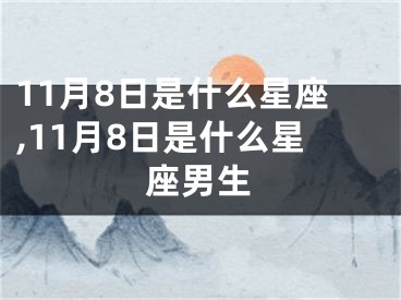 11月8日是什么星座,11月8日是什么星座男生