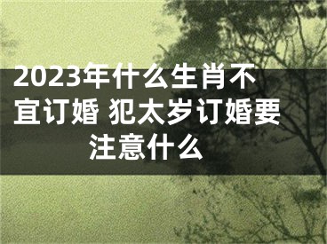 2023年什么生肖不宜订婚 犯太岁订婚要注意什么 