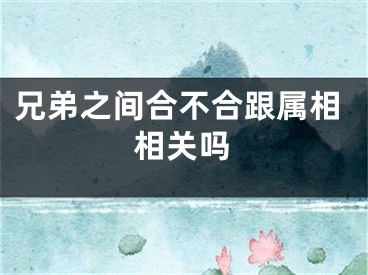 兄弟之间合不合跟属相相关吗