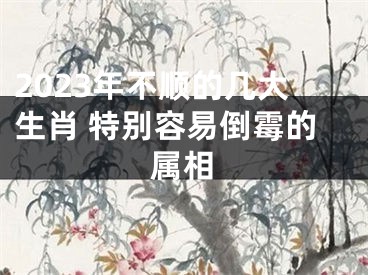2023年不顺的几大生肖 特别容易倒霉的属相