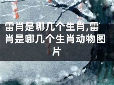 雷肖是哪几个生肖,雷肖是哪几个生肖动物图片
