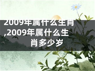 2009年属什么生肖,2009年属什么生肖多少岁