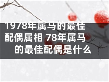 1978年属马的最佳配偶属相 78年属马的最佳配偶是什么