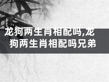 龙狗两生肖相配吗,龙狗两生肖相配吗兄弟