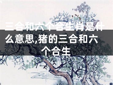 三合和六个合生肖是什么意思,猪的三合和六个合生