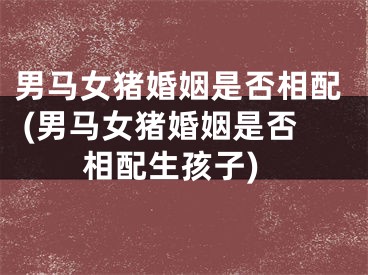 男马女猪婚姻是否相配 (男马女猪婚姻是否相配生孩子)