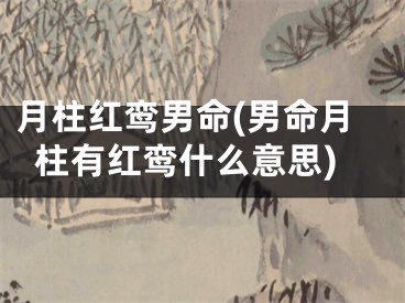 月柱红鸾男命(男命月柱有红鸾什么意思)